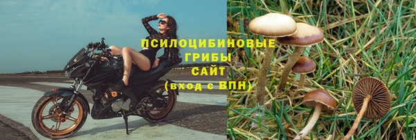 mdpv Киреевск