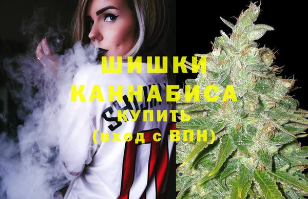 mdpv Киреевск
